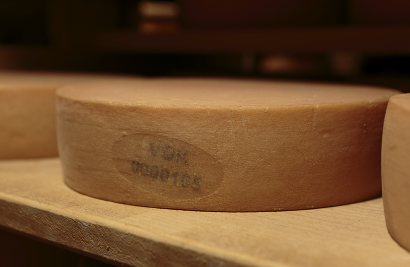 プチカチョカバロ70g ナチュラルチーズ 短期熟成タイプ 北海道 十勝 チーズ工房NEEDS メーカー直営店 最大56％オフ！