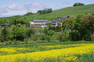 北海道滝川市～空も大地もアートも医療も、味方につける。｜カイ